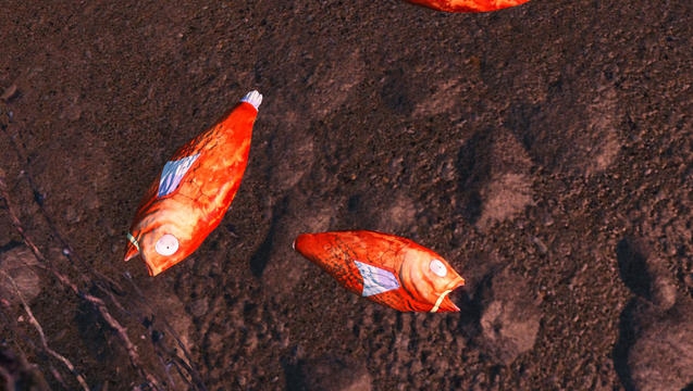 辐射4口袋妖怪鲤鱼王MOD v2.2