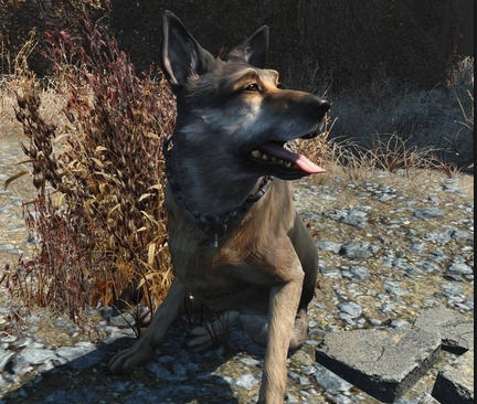 辐射4狼狗肉贴图MOD v2.6