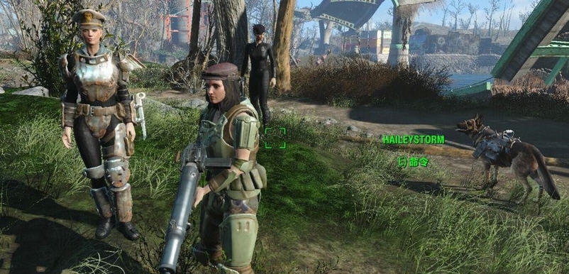 辐射4增加3个伙伴MOD v2.5