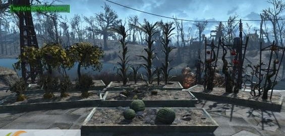 辐射4植物花盆MOD v2.7