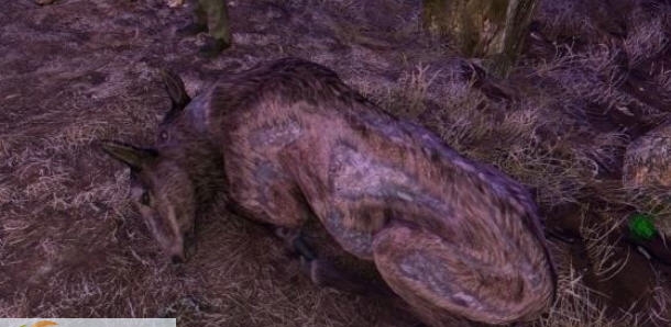 辐射4温顺变种鹿MOD v2.4