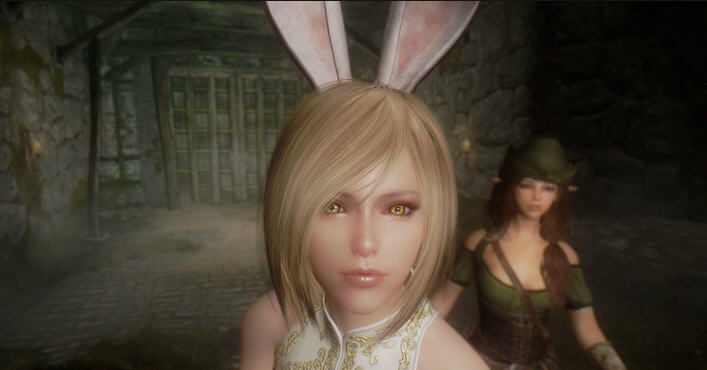 上古卷轴5天际兔女郎随从斯凯雯MOD v2.4