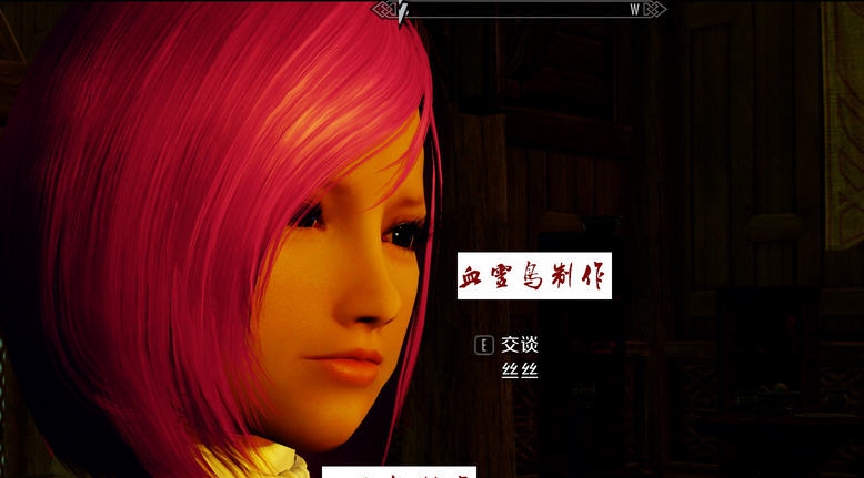 上古卷轴5天际丝丝妹子随从MOD v2.4