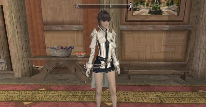 上古卷轴5天际TERA衣服MOD v2.6