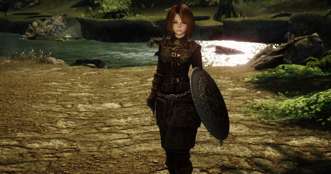 上古卷轴5天际独立随从维欧拉MOD v2.4