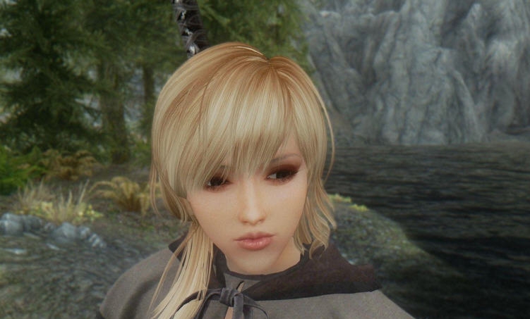 上古卷轴5独立随从liarsaMOD v2.4