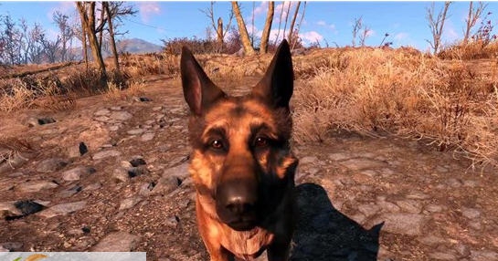 辐射4红毛狗肉mod v2.6