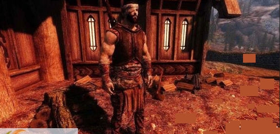 上古卷轴5活力战斗和受伤MOD v2.5