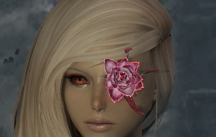 上古卷轴5独立随从阿丽玛血腥勇士MOD v2.4