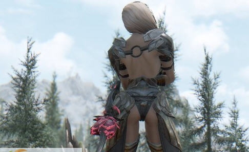 上古卷轴5独立随从mod v2.7