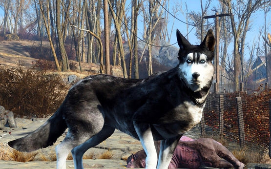 辐射4狗肉变暗黑哈士奇MOD v2.5