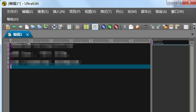 UltraEdit32中文版 v2019