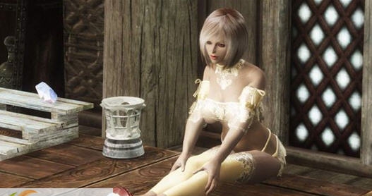 上古卷轴5天际蕾丝内衣MOD v2.6