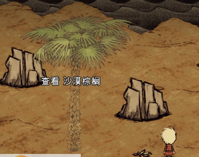 饥荒联机沙漠棕榈mod 161v1.5