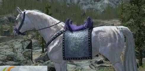 上古卷轴5新造型名马冰霜MOD v2.7