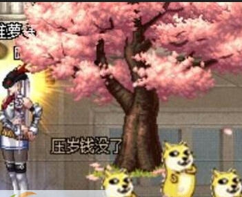 DNF2016春节宠物改doge补丁 v2.5