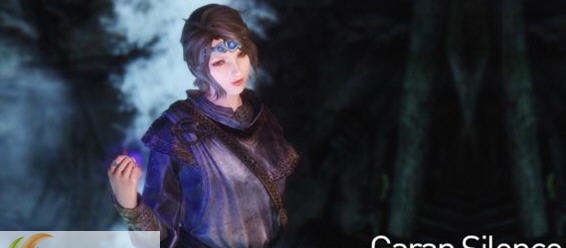 上古卷轴5天际独立随从伽蓝赛伦斯mod v2.6