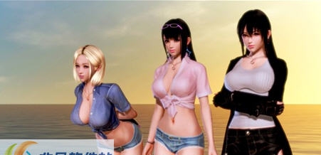 性感海滩4NTR及动作补丁 v2.6