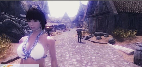 上古卷轴5天际阳光环境和人物美化整合包 v2.8