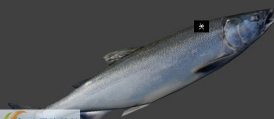 求生之路2咸鱼替换棒球棒mod v2.5