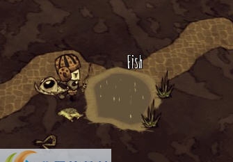 饥荒22版蜥蜴人物mod v2.5