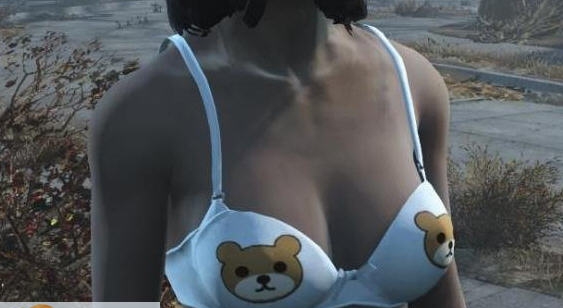 辐射4老滚5性感衣服MOD v2.5