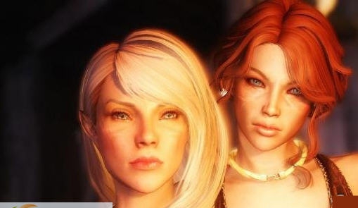 上古卷轴5密涅瓦随从MOD v2.5