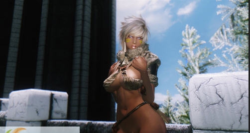 上古卷轴5天际独立随从罗莎MOD v2.5