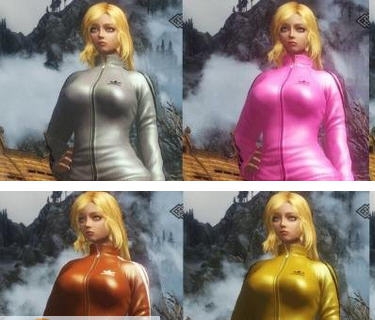 上古卷轴5阿迪套装MOD v2.5