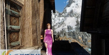 上古卷轴5海贼女帝服装MOD v2.5