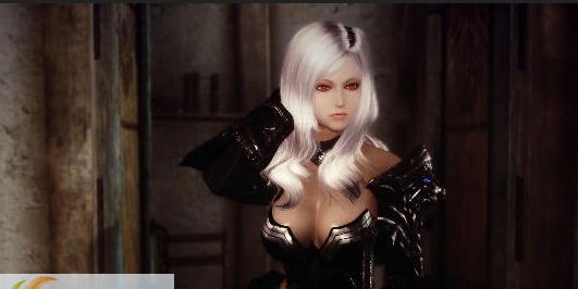 上古卷轴5白色女武神史维特莱德护甲MOD v2.5