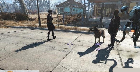 辐射4多队友随从MOD v2.9