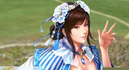 三国志13可呼吸版王元姬DLC v2.5