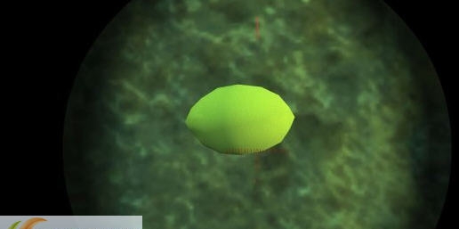 辐射4可燃柠檬MOD v2.3