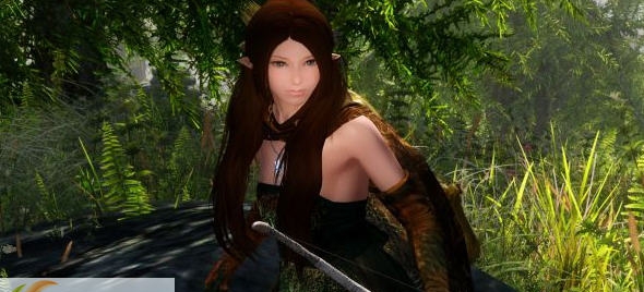 上古卷轴5天际独立随从艾可儿MOD v2.5