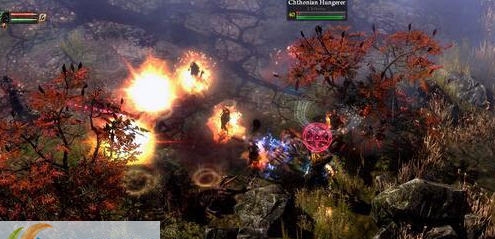 恐怖黎明42级精英开荒存档 v2.5