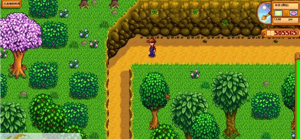 星露谷物语额外农场MOD v2.6