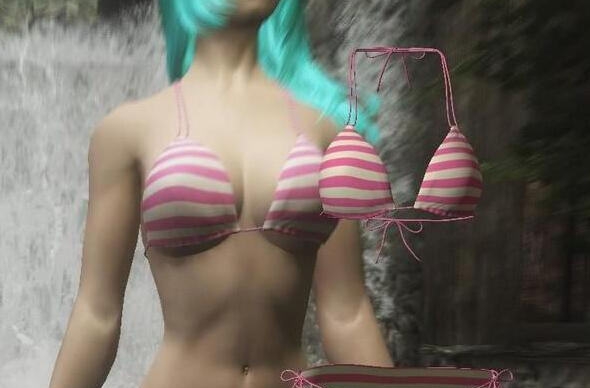 上古卷轴5天际V字比基尼MOD v2.6