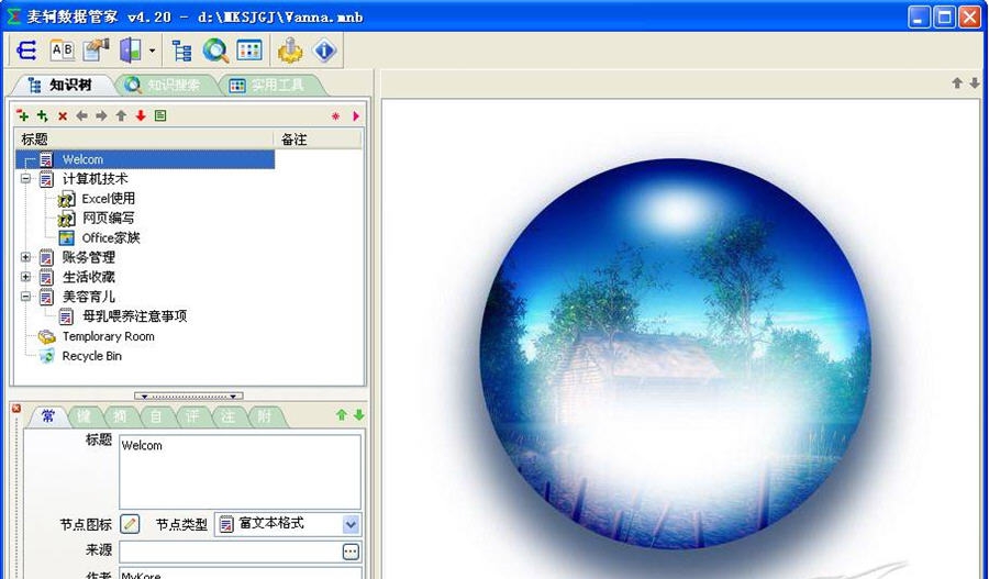 麦轲数据管家 v4.34