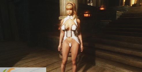 上古卷轴5天际牧师长袍服装MOD v2.6