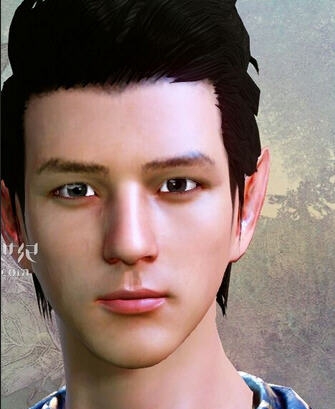 上古世纪小时代崇光捏脸 v2.7