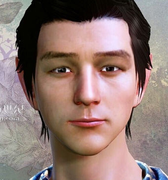 上古世纪黄渤精灵男捏脸 v2.7