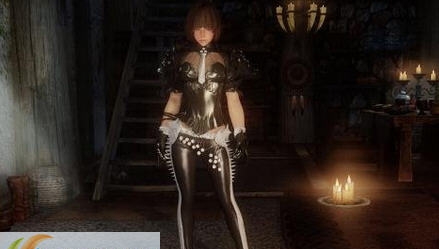 上古卷轴5沉着套装MOD v2.5