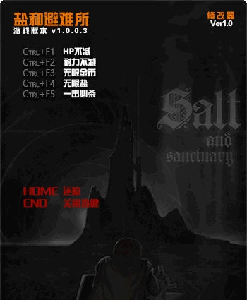 盐和避难所5项修改器 v1.0.0.9