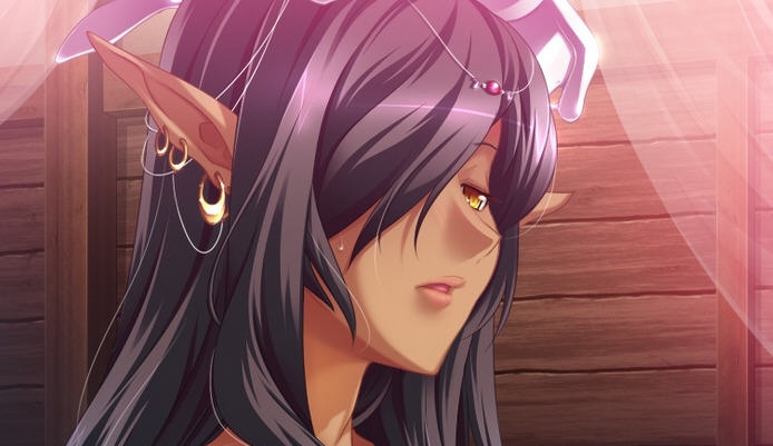 黑兽全CG存档 v2.9