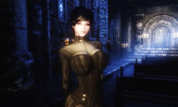 上古卷轴5天际华丽紧身衣MOD v2.4