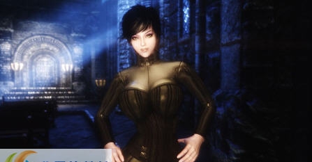 上古卷轴5黑夜传说服装MOD v2.5