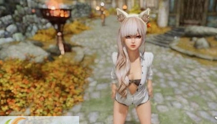 上古卷轴5开衣剑灵衬衫MOD v2.6