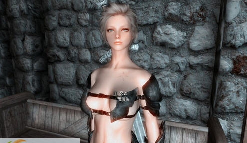 上古卷轴5布瑞达美化MOD v2.6