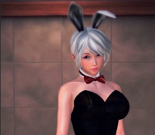 游戏俱乐部瑞文兔女郎MOD v2.7